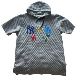 Gray Graphic Men's Hoodie